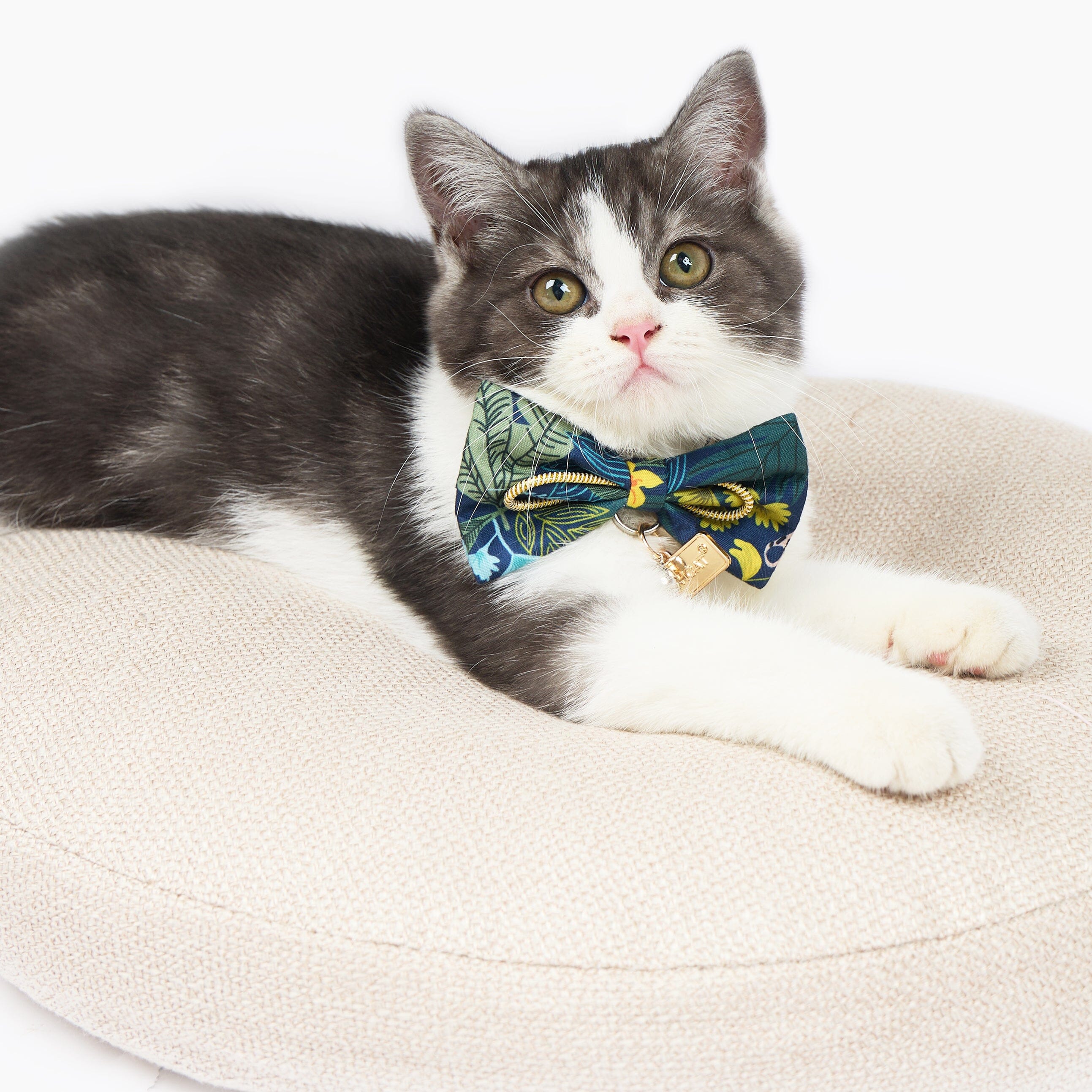 Touchcat ® Safari Patterned Designer Cat Collar with Bow