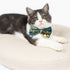Touchcat ® Safari Patterned Designer Cat Collar with Bow