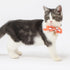 Touchcat ® Shepherd Patterned Designer Cat Collar with Bow