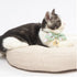 Touchcat ® Shepherd Patterned Designer Cat Collar with Bow