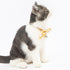 Touchcat ® Shepherd Patterned Designer Cat Collar with Bow