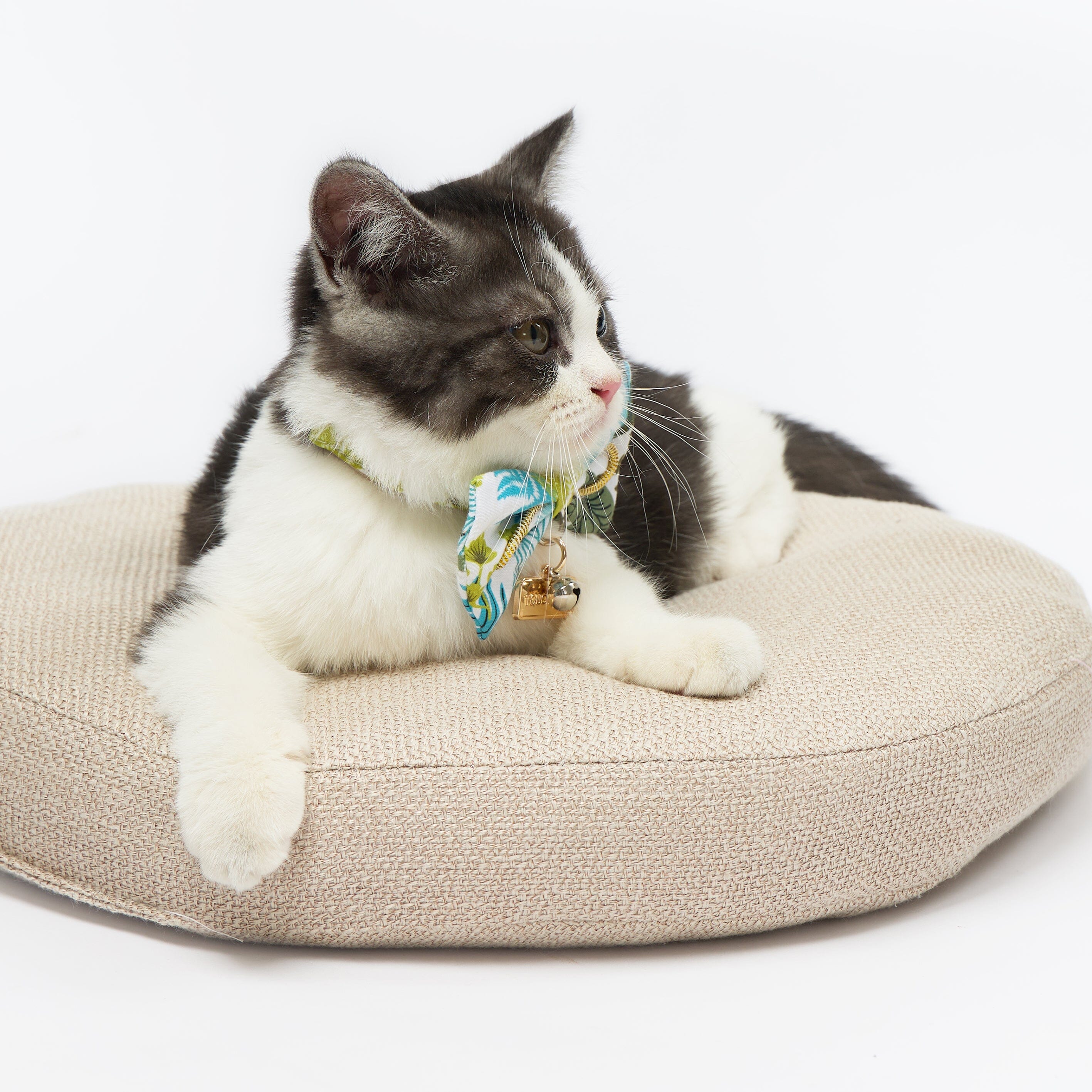Touchcat ® Tropical Patterned Designer Cat Collar with Bow