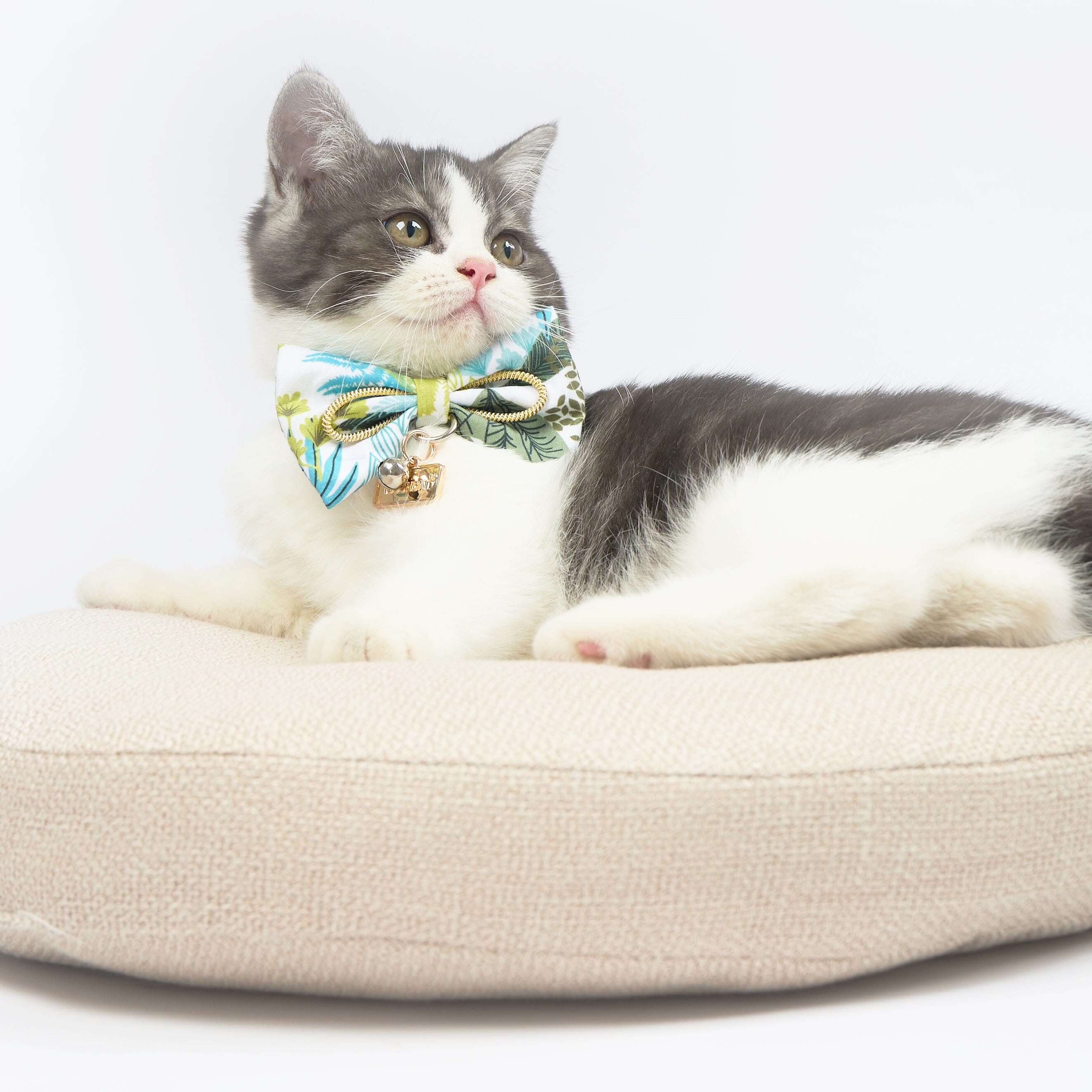 Touchcat ® Tropical Patterned Designer Cat Collar with Bow