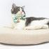 Touchcat ® Tropical Patterned Designer Cat Collar with Bow