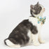 Touchcat ® Tropical Patterned Designer Cat Collar with Bow