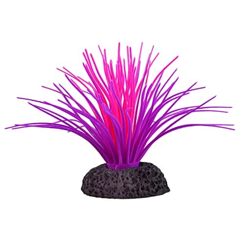 Underwater Treasures Sea Anemone - Pink/Purple