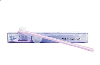 Cet top cat toothbrush