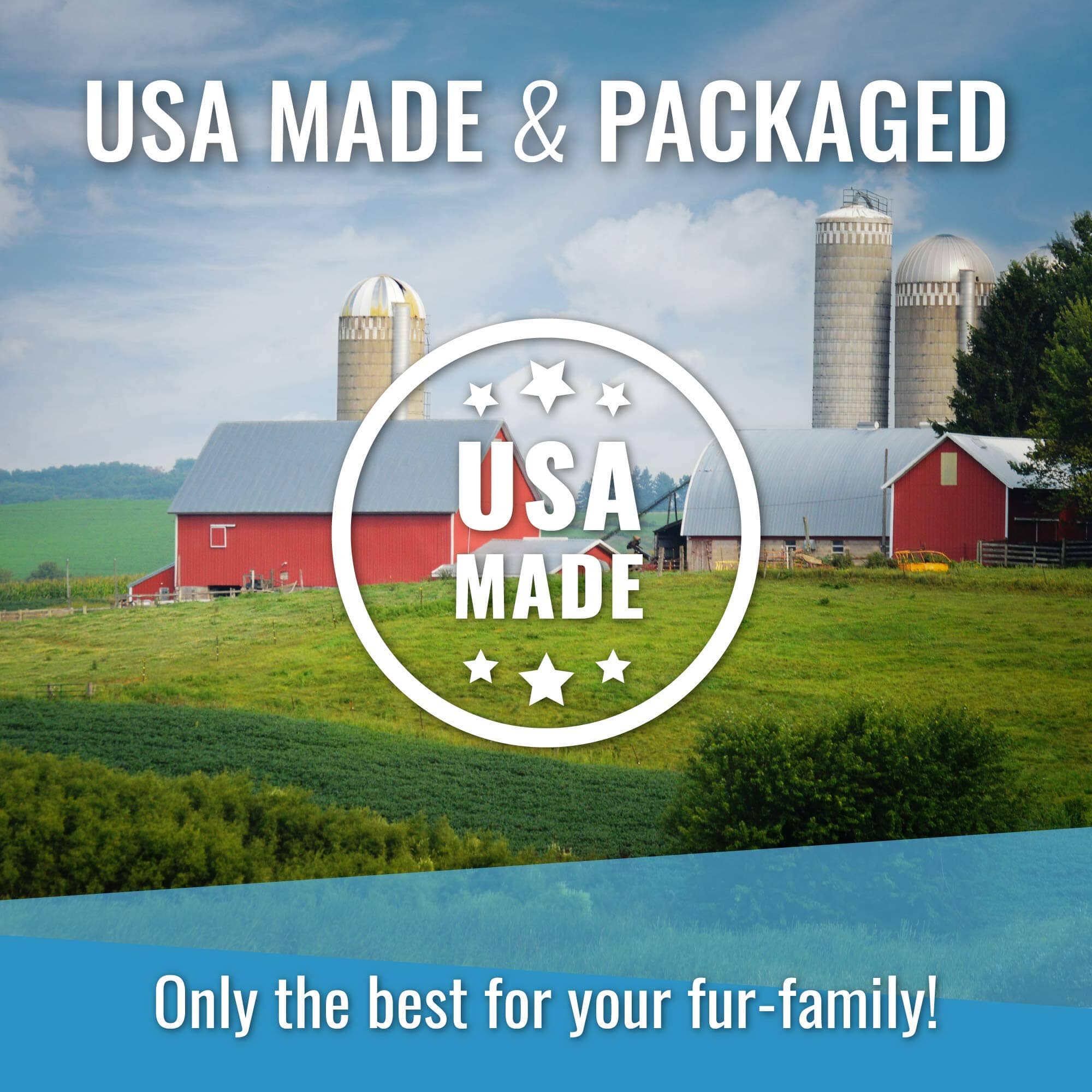 Vital Essential's Grain-Free Turkey Entrée Mini Patties Freeze-Dried Dog Food - 14 Oz