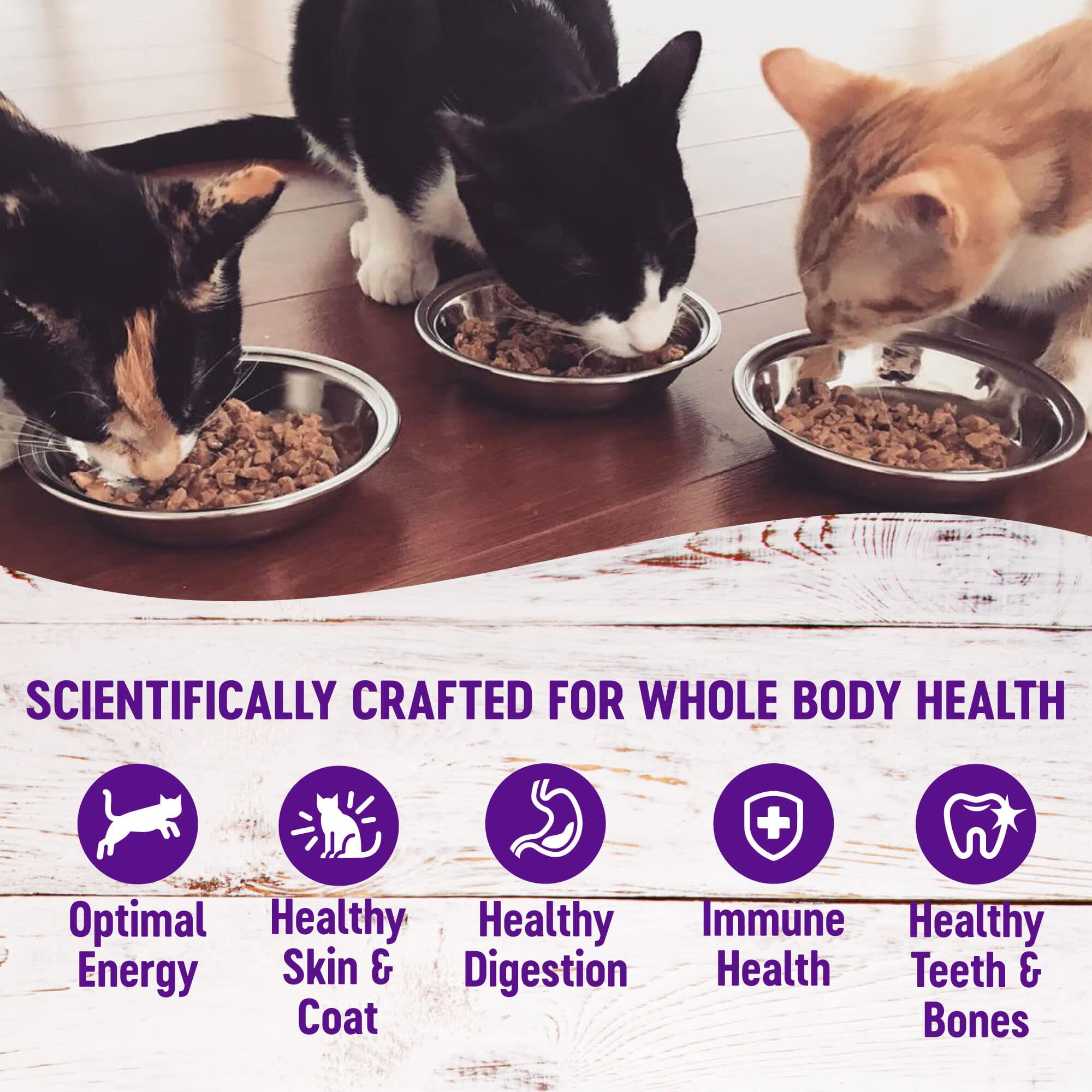 Wellness Grain Free Natural Turkey Morsels Dinner Canned Cat Food