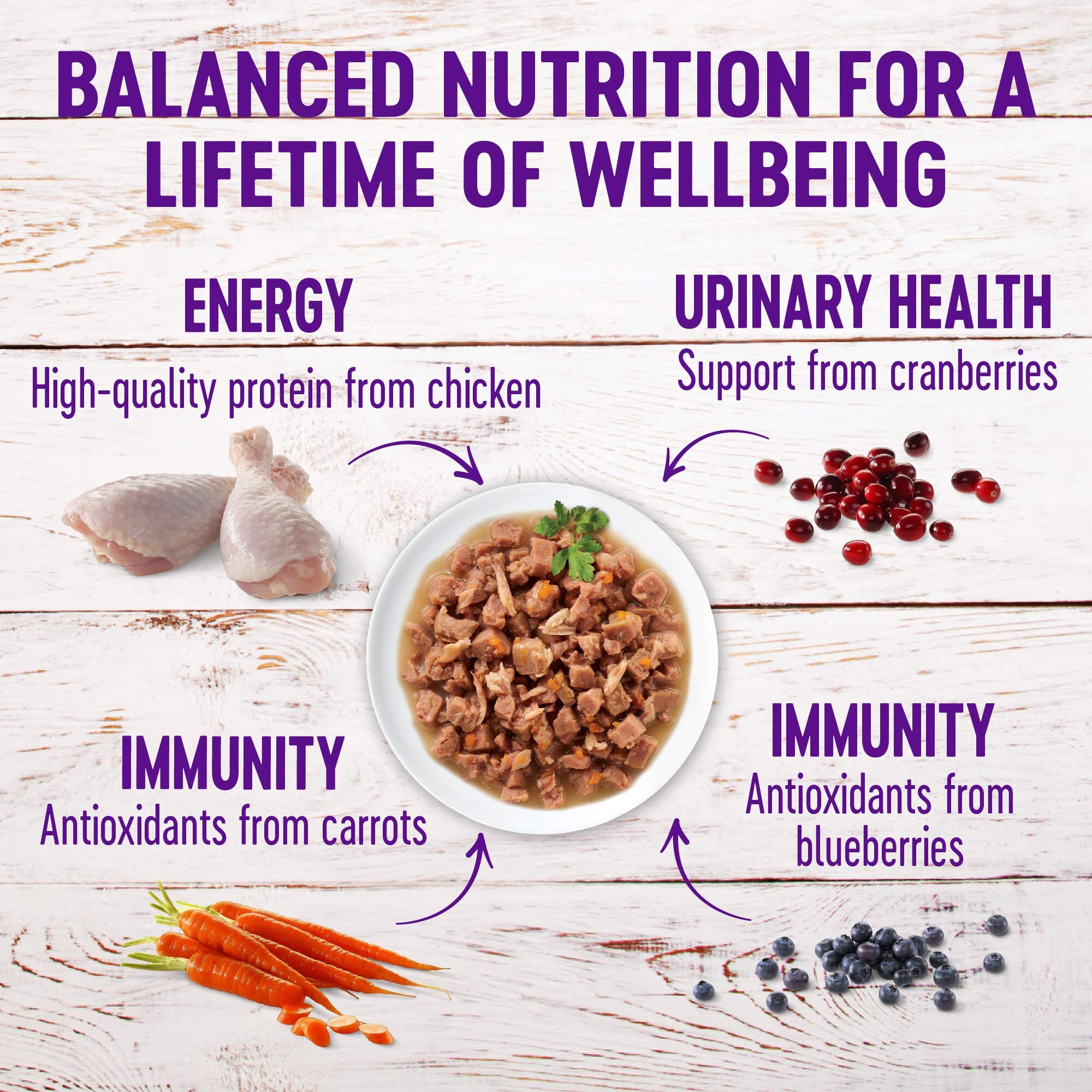 Wellness Grain Free Natural Turkey Morsels Dinner Canned Cat Food