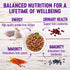 Wellness Grain Free Natural Turkey Morsels Dinner Canned Cat Food