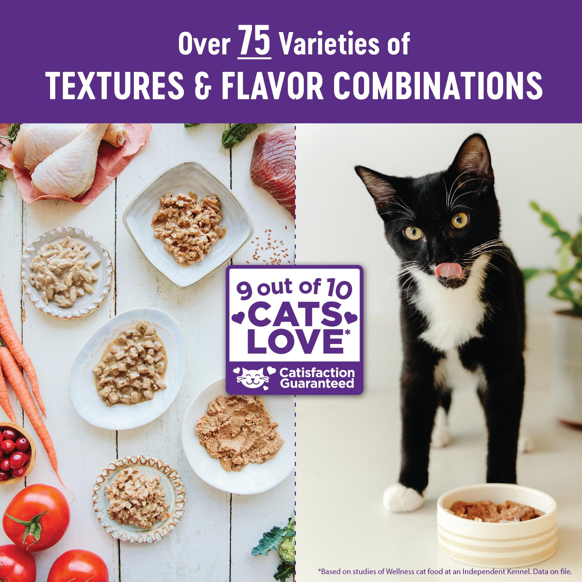 Wellness Grain Free Natural Turkey Morsels Dinner Canned Cat Food