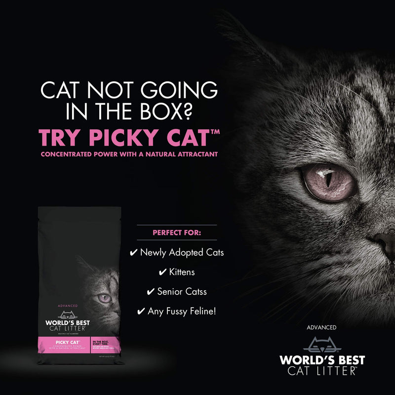 World's best cat hot sale litter picky cat