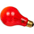 Zilla Incandescent Night Red Heat Bulb - 150 W