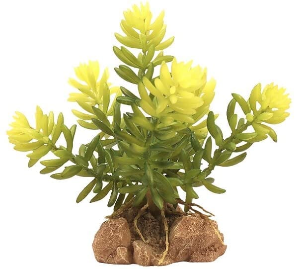 Zoo Med Laboratories Naturalistic Desert Plant Buirros Tail Plastic Plant Terrarium Décor