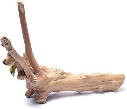 A&E Cage Company Java Wood Reptile Branch Reptile Wood/Vines - Extra Large