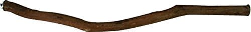 A&E Dragonwood Bird Perch - Natural - 18 X 1 In