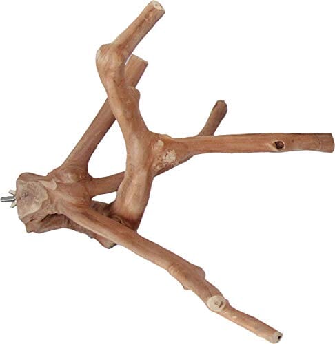 A&E Java Wood Multi-Branch Bird Perch - Medium