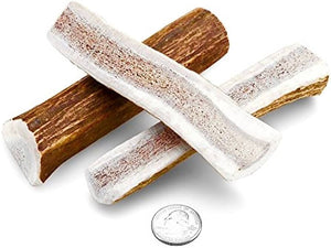 Antler Dog Chews Elk Antler - Small - 3-5 In