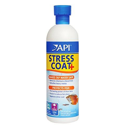 API Stress Coat+ - 16 fl oz