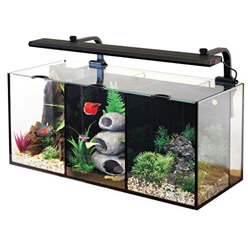 Tetra 10 Gallon Glass LED Aquarium Kit 