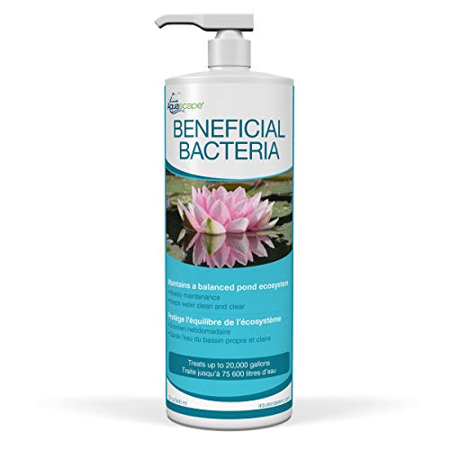 Aquascape Beneficial Bacteria - 32 fl oz