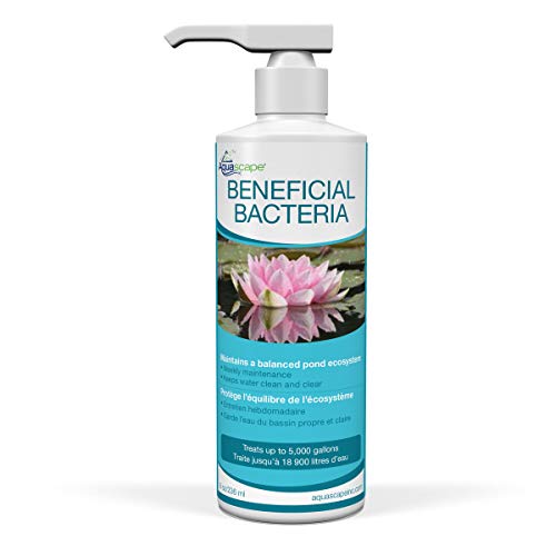 Aquascape Beneficial Bacteria - 8 fl oz
