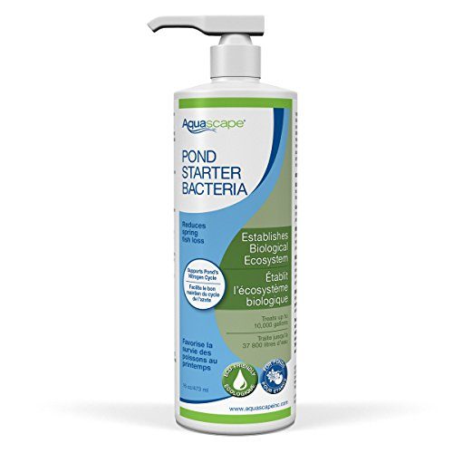 Aquascape Pond Starter Bacteria - 16 fl oz
