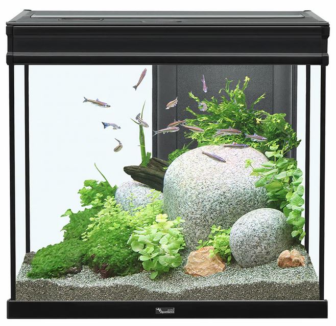Aquatlantis Elegance Expert 60 Aquarium - Black - 27.5 gal