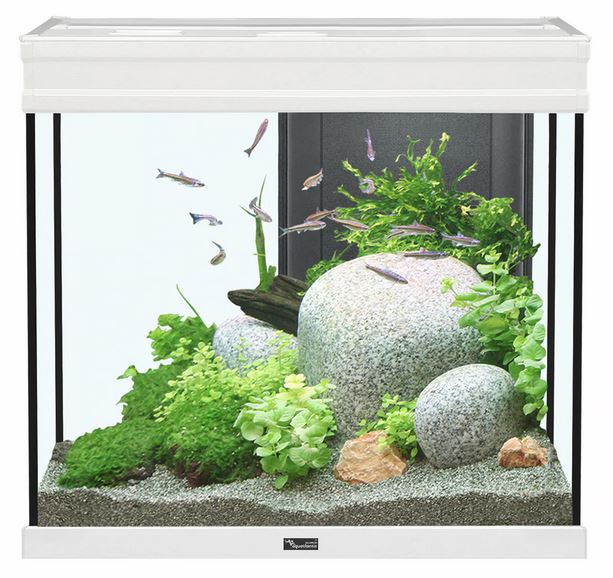 Aquatlantis Elegance Expert 60 Aquarium - White - 27.5 gal