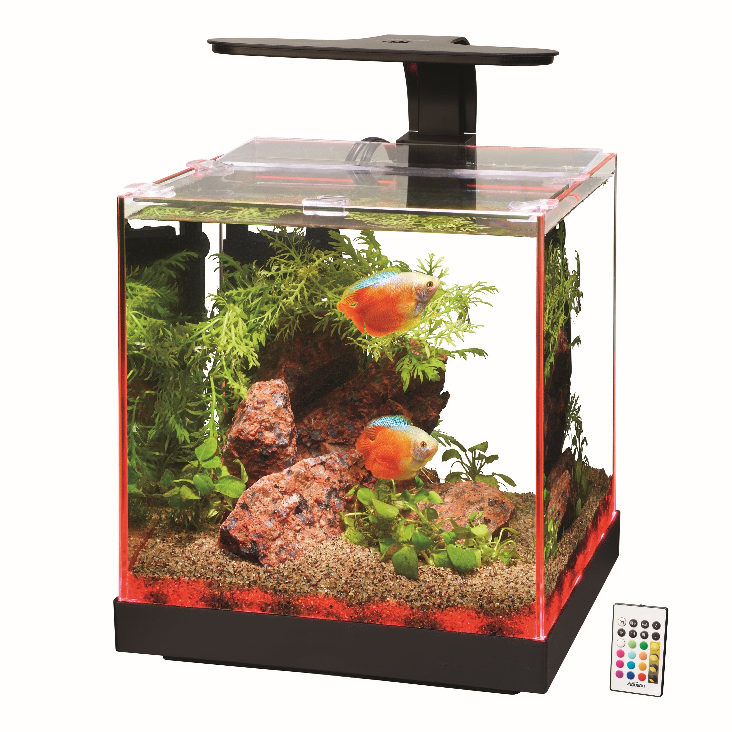 Aqueon Edgelit Rimless Cube Glass Aquariums - 3 gal