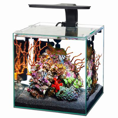 Aqueon Frameless Cube Aquarium - 3 gal