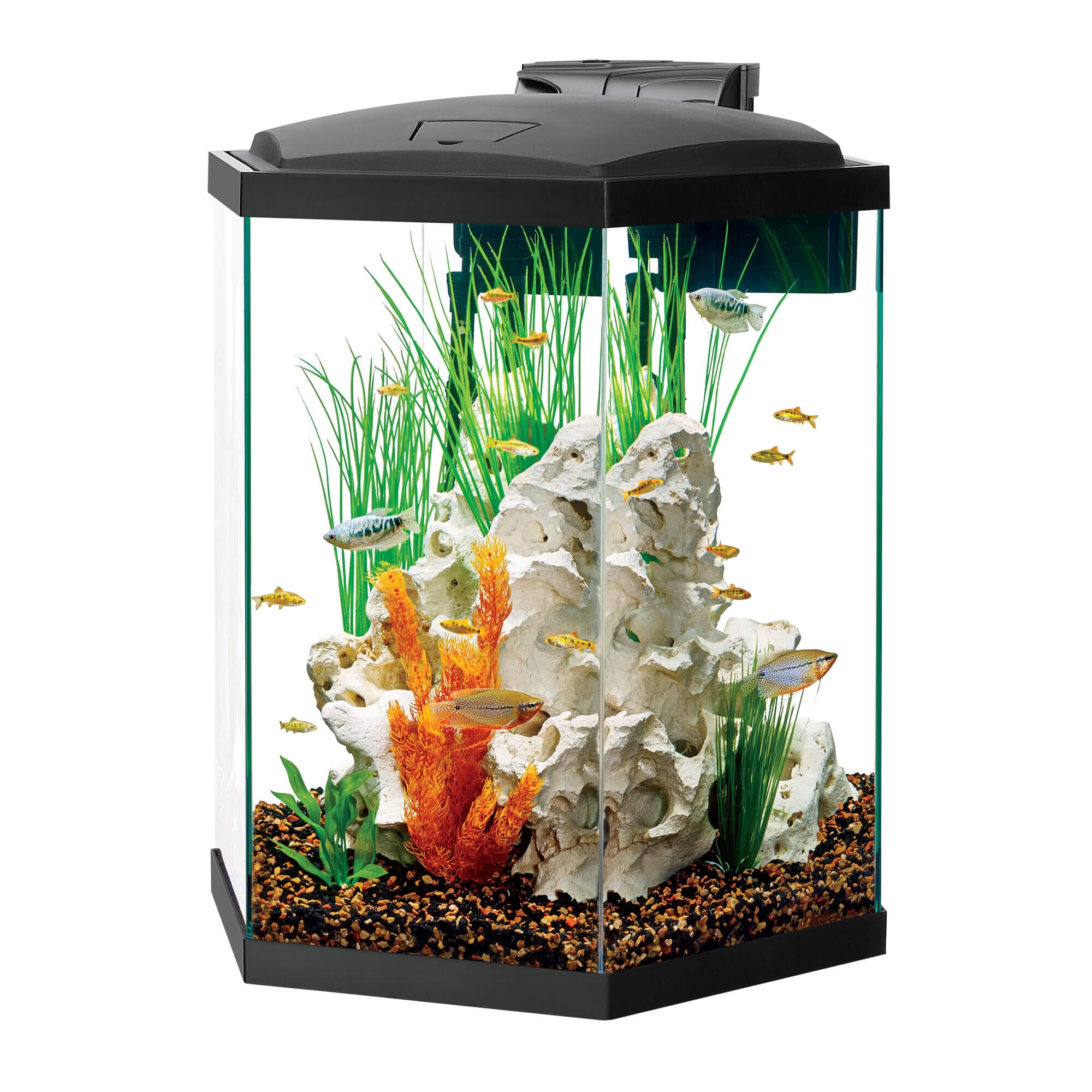 aqueon fish tank accessories 29 Gallon LED Aquarium Kit clear water by efficiently removing impurities Aqueon Fish & Aquarium Supplies