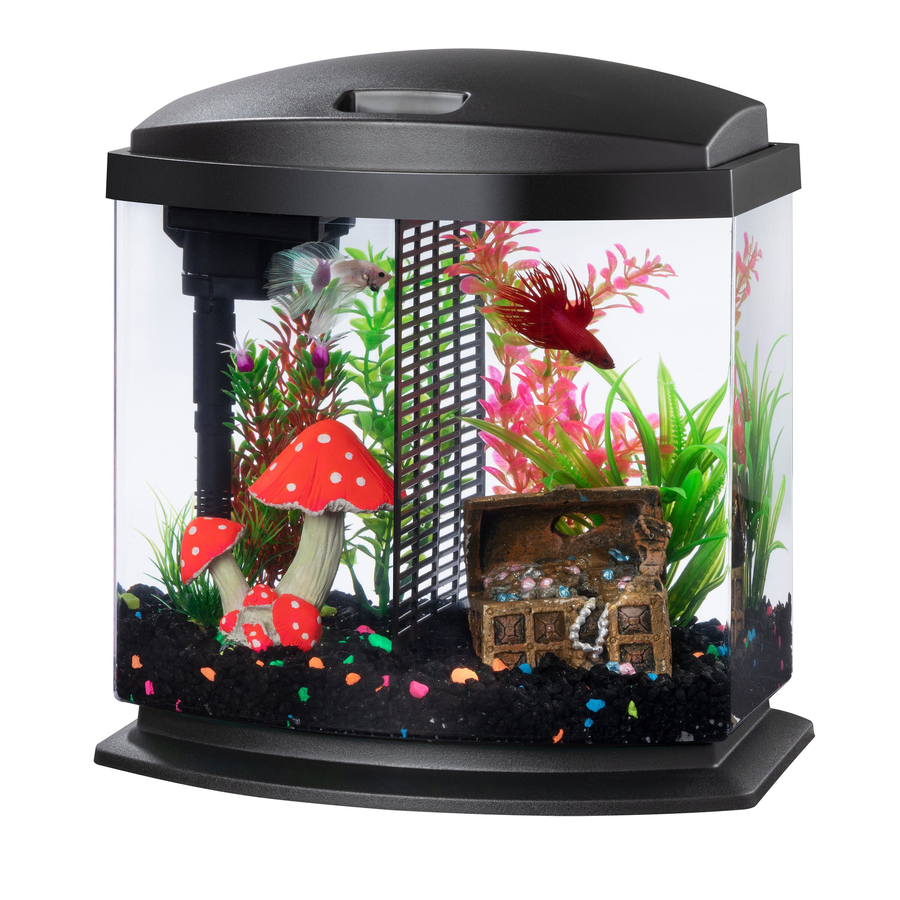 Aqueon LED BettaBow Kit SmartClean Black - 2.5 gal