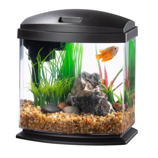 Aqueon LED MiniBow 1 - Black - 1 gal