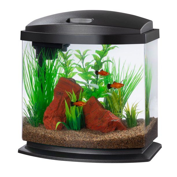 Aqueon LED MiniBow 2.5 - Black - 2.5 gal