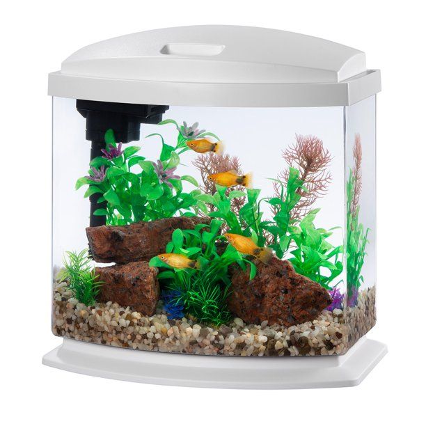 Aqueon LED MiniBow 2.5 - White - 2.5 gal