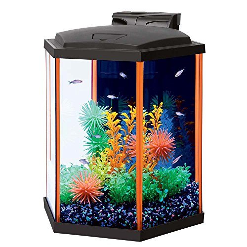Aqueon NeoGlow LED Aquarium Kit - Hex - Orange - 8 gal  