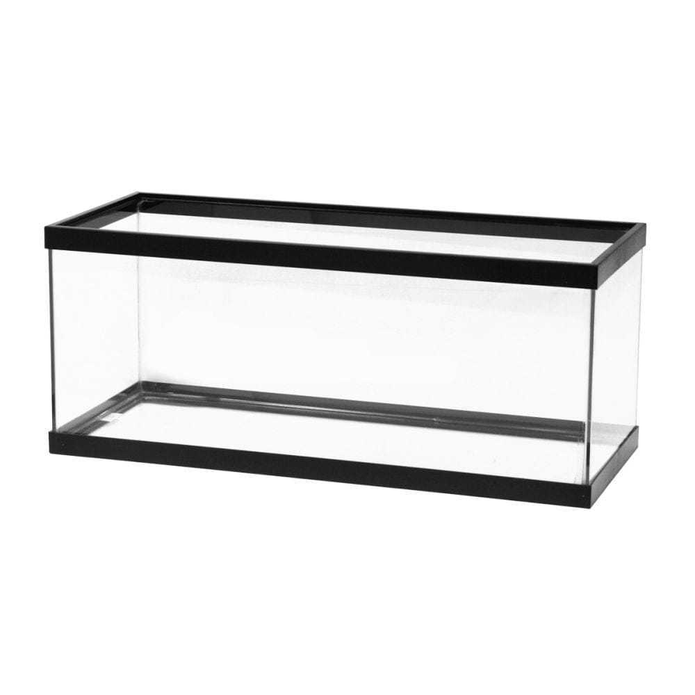 Aqueon Standard Glass Rectangle Aquarium Clear Silicone - Black - 20 Long