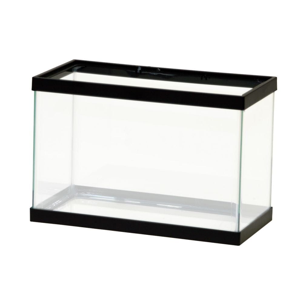 Aqueon Standard Glass Rectangle Aquarium Clear Silicone - Black - 2.5 gal