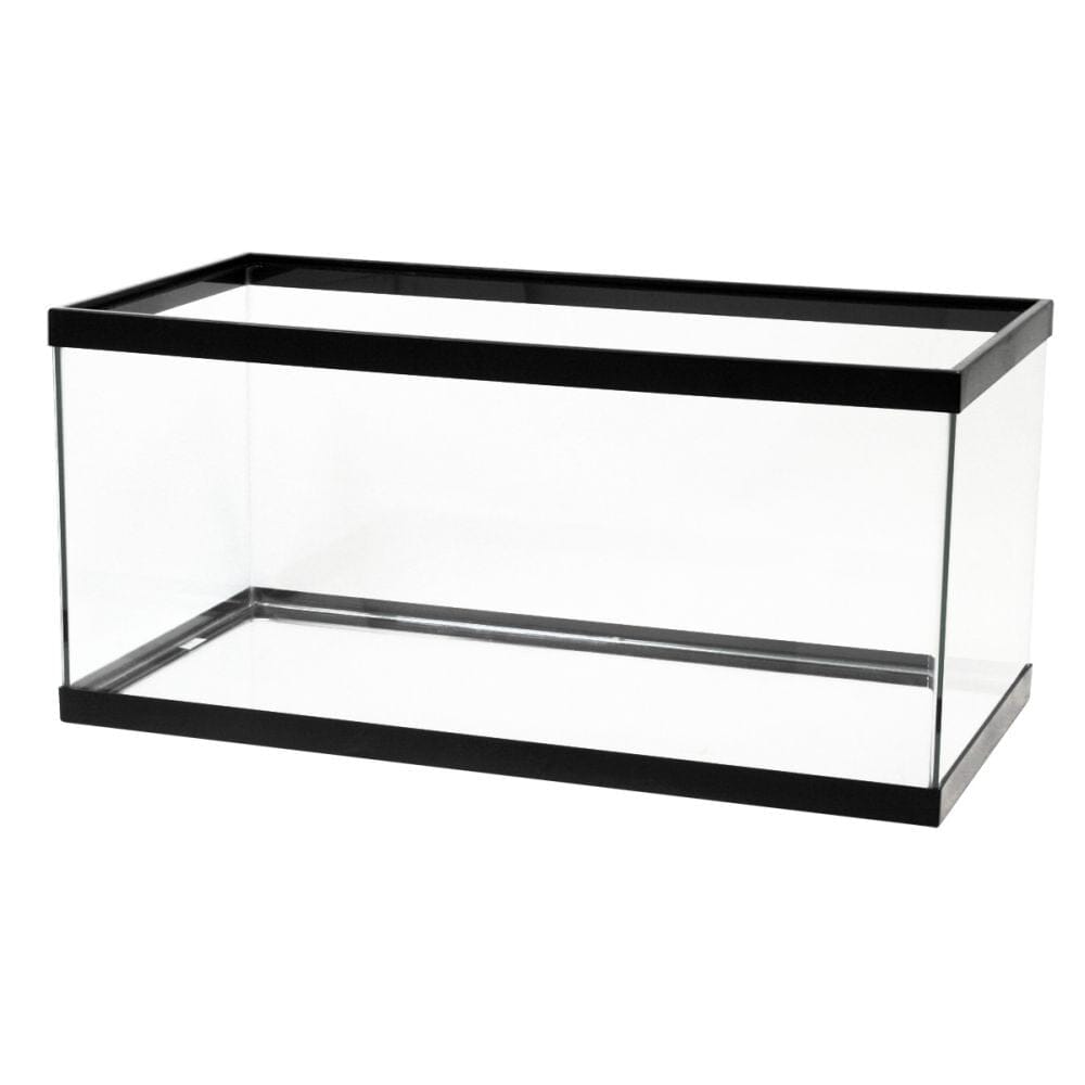 Aqueon Standard Glass Rectangle Aquarium Clear Silicone - Black - 40 Breeder