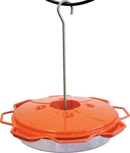 Audubon 3-In-1 Oriole Dish Feeder - Orange - 12 Oz Cap