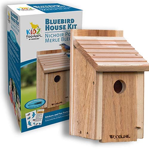 Audubon Diy Craft Kit Bluebird Wild Bird House - Natural