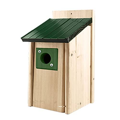 Audubon Lake & Cabin Bluebird House with Predator Guard - Green