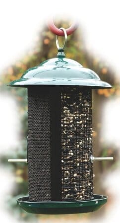 Audubon Mesh Combo Screen Feeder Wild Bird Feeder - Green - 3 Lbs Cap