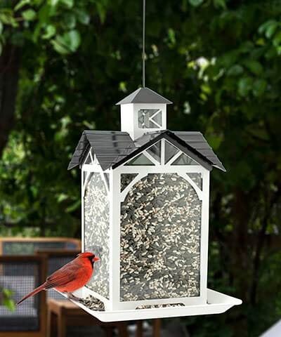 Audubon Modern Farmhouse Glass Stable Wild Bird Feeder - White - 4 Lbs Cap