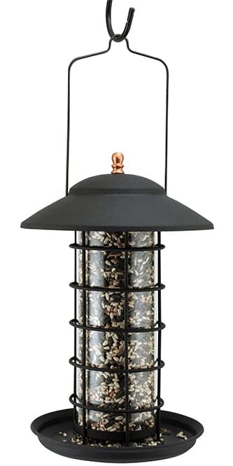 Audubon Modern Farmhouse Promotional Glass Tube Type Bird Feeder Mixed Seed - Black - 1.5 Lbs Cap