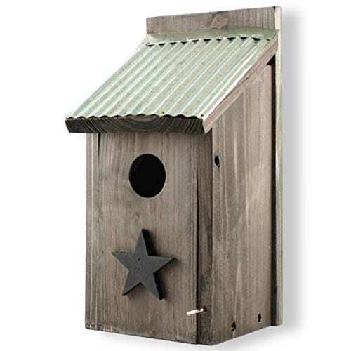 Audubon Rustic Farmhouse Bluebird Wild Bird House - Natural