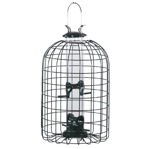 Audubon Squirrel-Resistant Caged Tube Haven Wild Bird Feeder - Clear and Green - 1.25 Lbs Cap