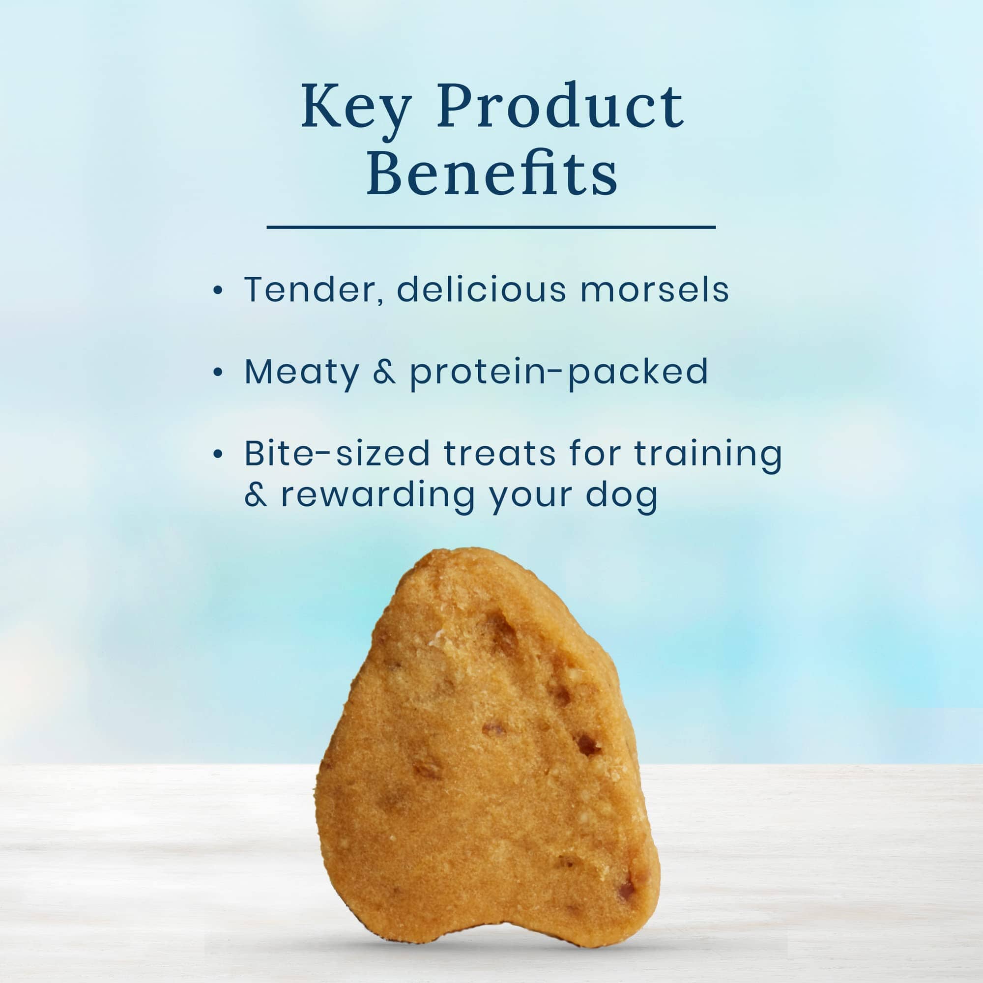 Blue Buffalo True Chews Premium Morsals Chicken Natural Dog Treats - 12 Oz